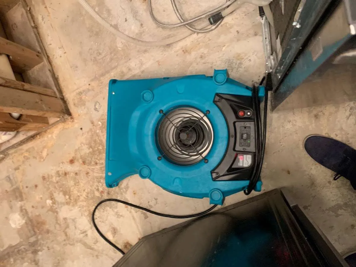 Air mover drying equipment for Mold Remediation & Removal in Mount Vista
