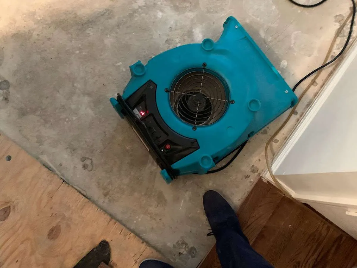 Air mover drying subfloor during Leak Detection & Repair in Mount Vista